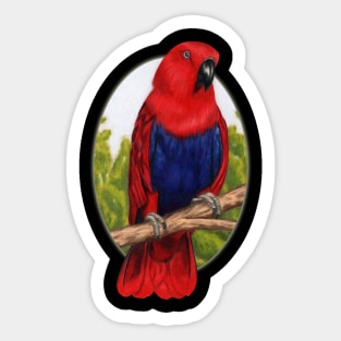 Eclectus Parrot by Sherrie Spencer Sticker